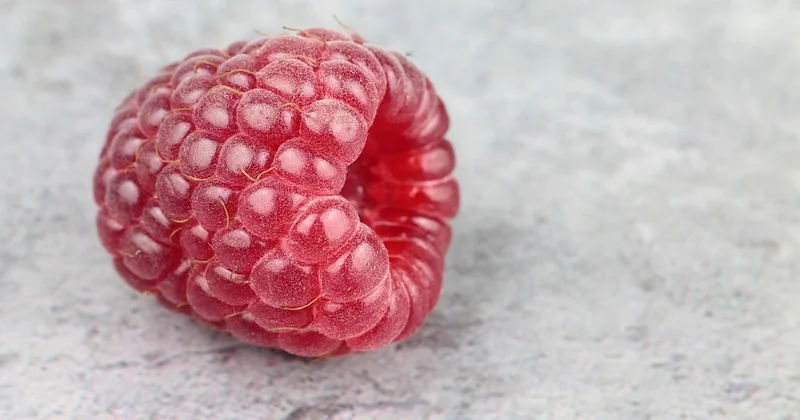 Fruits rouges : le problème d'acidité que personne ne mentionne