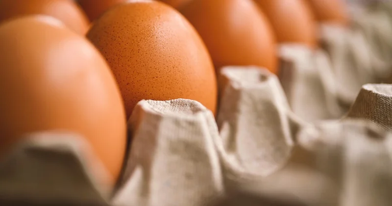 Montage et cuisson : les gestes qui comptent