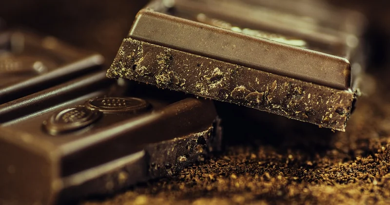 Quel chocolat noir pour une mousse sans œufs ?