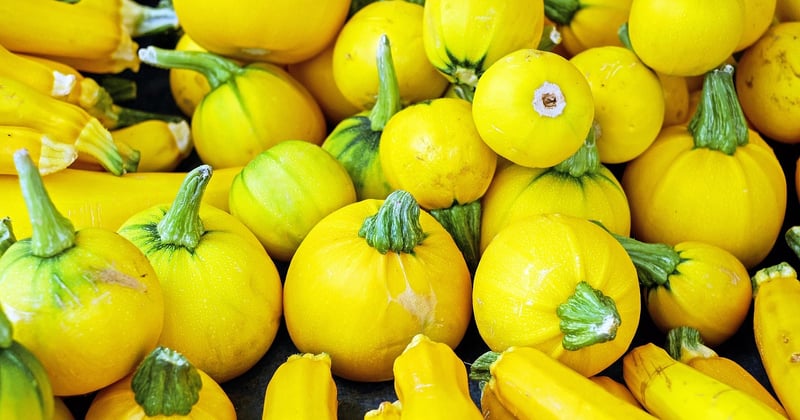 Gratin de courgettes et chèvre léger : la recette fondante qui change tout